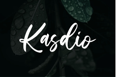 Kasdio Brush Font