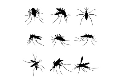 Mosquito silhouettes. Swarm flying insects&2C; dangerous bite proboscis m