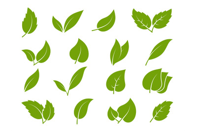 Leaves icons. Young green leaves trees and plants various shapes, herb