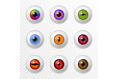 Human and animal eye. Different color eyeball and lenses&2C; various roun