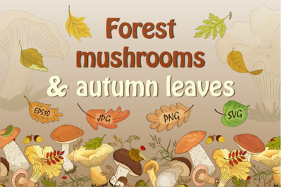 Forest mushrooms and autumn leaves