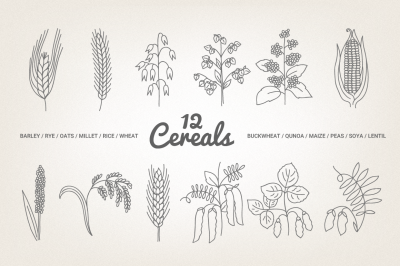 12 Cereals - Illustration &amp; Patterns