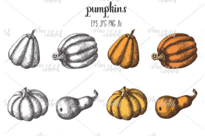 Vector Pumpkin Set. Autumn collection.