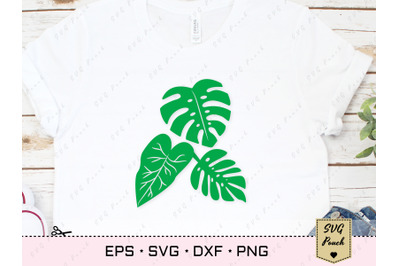 Tropical leaves SVG