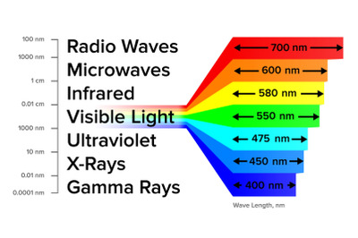 Electromagnetic Spectrum Information Gamma Rays Scheme Vector