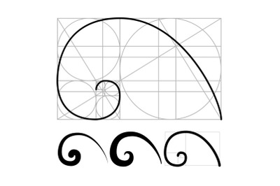 Nautilus Golden Ratio Geometric Spiral Set Vector