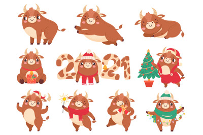 Cute ox. Color bulls chinese new year 2021 symbol&2C; animals with horns&2C;