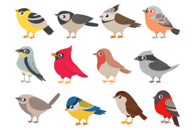 Cute birds. Hand drawn little colorful birds, animals characters for p