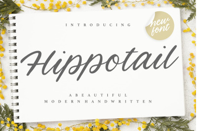 Hippotail Beautiful Modern Handwritten Font