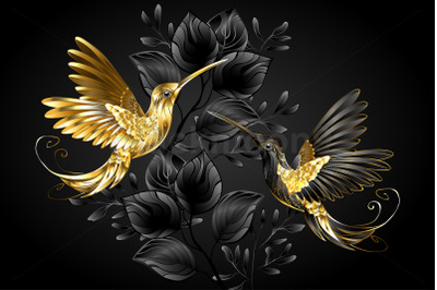 Black and Gold Hummingbird