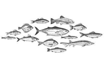 Fish school. Hand drawn fishes shoal, underwater marine ecosystem, sea