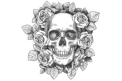 Skull with flowers. Sketch human skull with roses&2C; traditional gothic