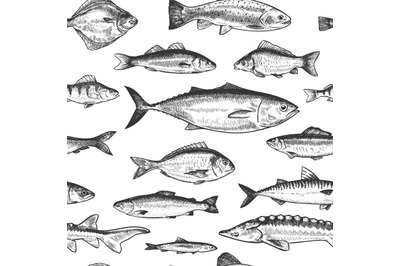 Fish seamless pattern. Hand drawn different sea and river fishes&2C; mari