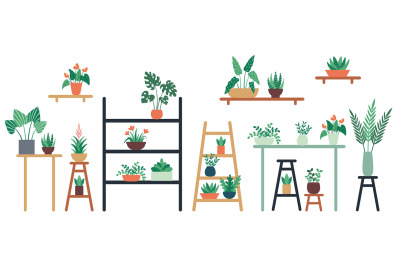 Houseplants standing on shelf, chair and table in ceramic pots. Home a