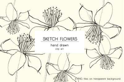 Hand drawn sketch flowers, floral illustrations, clipart, overlay, pen