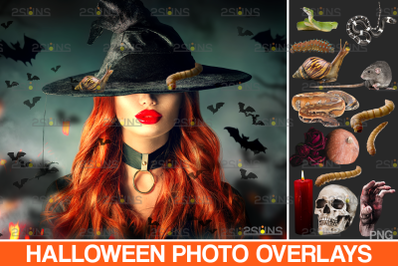 Photoshop overlay &amp; Halloween clipart: zombie hand