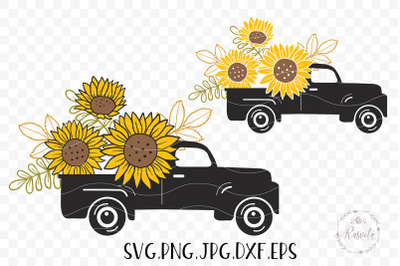 Sunflower in a vintage truck