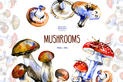 Watercolor mushrooms