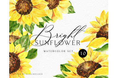 Sunflower watercolor clipart. Boho sunflower png modern clipart