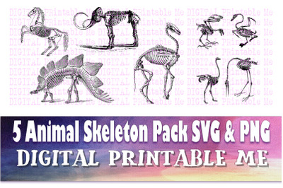 Animal Skeleton Clip Art Pack SVG PNG 5 Images, Pack, Instant Download