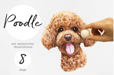 Poodle. Watercolor dog illustrations. Cute 8 dog
