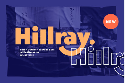 Hillray - Stylish Bold Sans