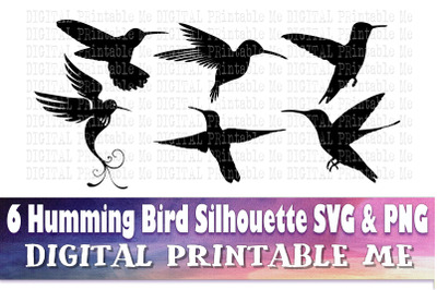 Hummingbird, Silhouette, SVG, PNG,  Clip Art Pack , 6 Images, Pack, In