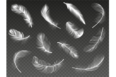 White realistic feather. Fluffy angel twirled feathers&2C; 3d bird feathe