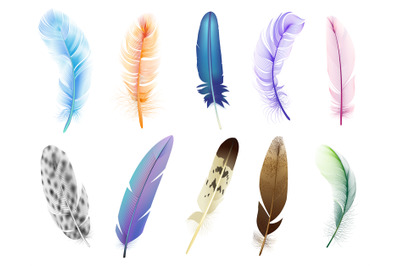 Realistic 3d feathers. Birds colored falling fluffy feathers&2C; floating