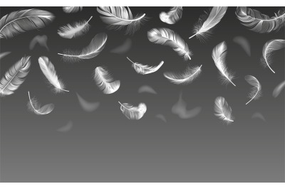 Falling feathers. Realistic twirled fluffy feathers&2C; white fluffy ange