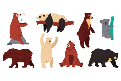 Bears species. Wild mammal characters, furry forest predators, grizzly