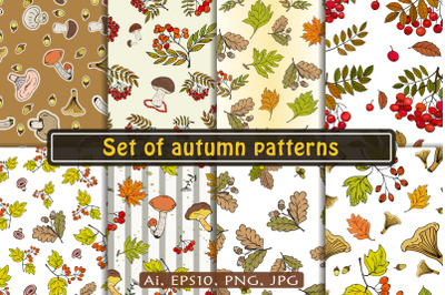 Autumn patterns