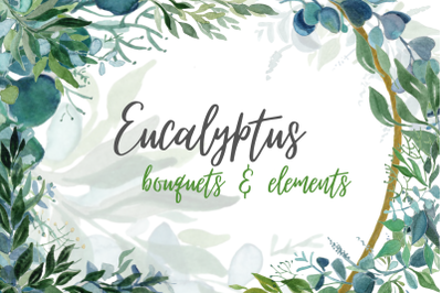 14&nbsp;Eucalyptus Watercolor clipart bundle