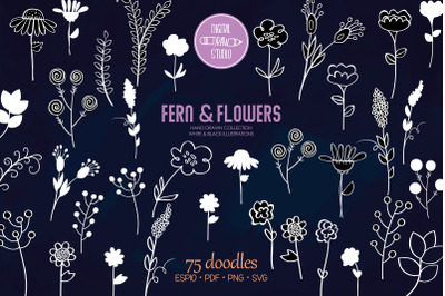 Meadow Ferns &amp; Wild Flowers | White Hand Drawn Nature, Leaves, Plants
