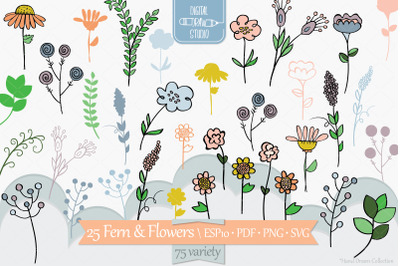 Meadow Ferns &amp; Wild Flowers | Colored Hand Drawn Nature, Leaves, Plant