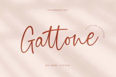 Gattone - Stylish Signature Font