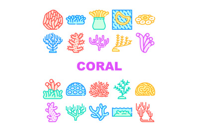 Coral Sea Aquatic Reef Collection Icons Set Vector