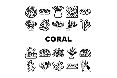 Coral Sea Aquatic Reef Collection Icons Set Vector