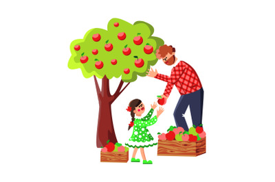 Man And Girl Harvesting Apples In Orchard Vector