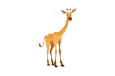 Jungle wild giraffe. Colorful beautiful safari or zoo cartoon animal,