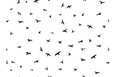 Flying bird seamless pattern. Flock flying birds silhouettes&2C; graphic