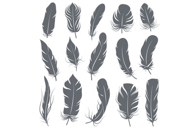 Feather silhouettes. Different feathering birds&2C; graphic simple shapes