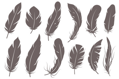 Feather silhouettes. Different feathering birds&2C; graphic simple shapes