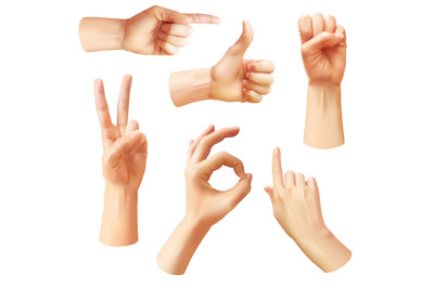 Realistic hand. Various gestures human hands, ok, thumb up and pointin