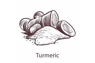 Turmeric root icon. Botanical sketch for labels and packages in engrav