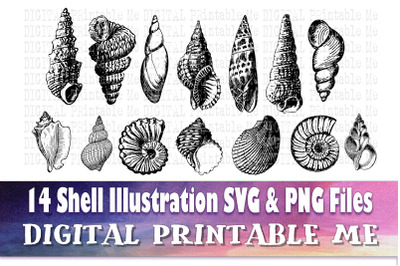 Shell Line Art, SVG bundle, Drawing PNG, 14 image pack, Instant Downlo