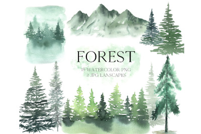 Watercolor Forest tree Clipart