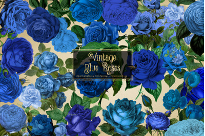 Vintage Blue Roses Clipart