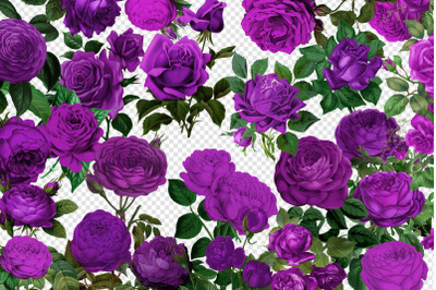 Vintage Purple Roses Clipart