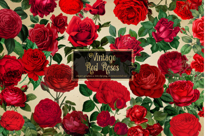 Vintage Red Roses Clipart